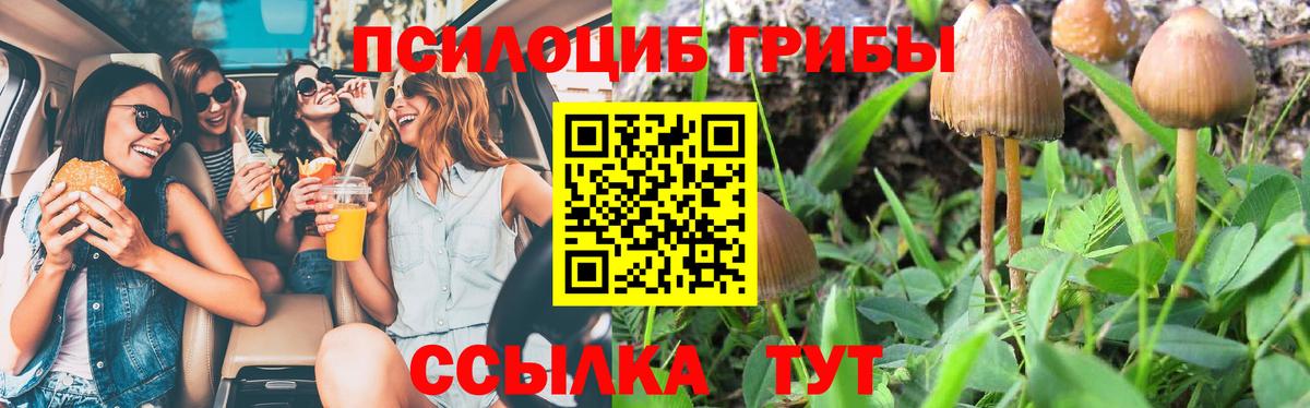 Людиново  Галлюциногенные грибы мицелий  Вход с VPN 